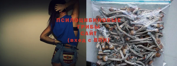 скорость Баксан