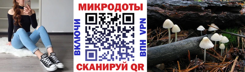 Псилоцибиновые грибы Psilocybine cubensis  Сим 